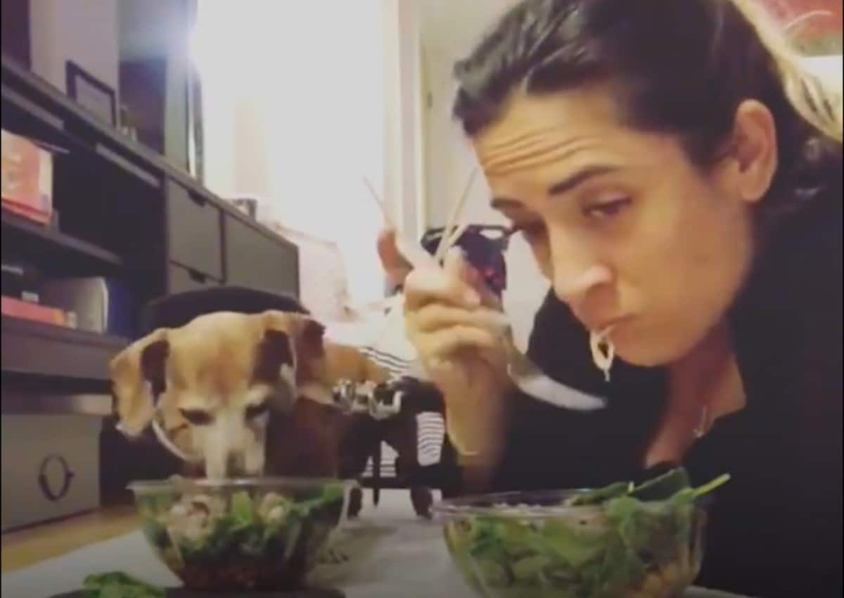 The Story Of A Woman Who Loves To Eat Dinner With Her Pet Dog ALL D